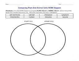 Acids And Bases Venn Diagram Beautiful Venn Diagram Worksheet Fresh
