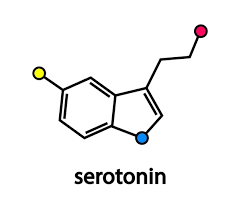132 serotonin formula vector images
