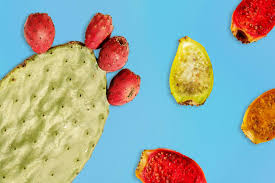 cactus benefits that ll sell you on nopales