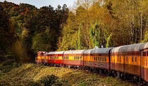 scenic train excursions