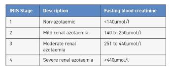 Iris ckd staging is based currently on fasting blood creatinine concentrations, but there are indications that sdma concentrations in blood plasma or serum may be a more sensitive biomarker of renal function. Diagnosis Of Early Feline Chronic Kidney Disease Veterinary Practice