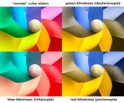what is color blindness beach eye