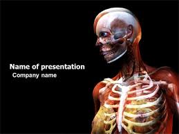 Bones Powerpoint Templates And Google Slides Themes