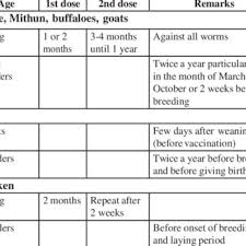 Vaccination Schedule Of Backyard Chicken Download Table