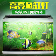 Buy Planted Tank Aquarium Lighting Aquarium Lights Led Lights Lamp Lights Can Be Color Adjustable Telescopic Stand White And Blue In Cheap Price On M Alibaba Com