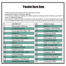 16 All Inclusive Imr Powder Chart