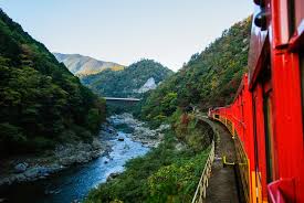 scenic train journeys in an
