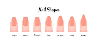 fingernail shapes images browse 53