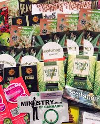 COMPETITION Win 70 Feminized Seeds and 5 T Shirts Seedsman Blog