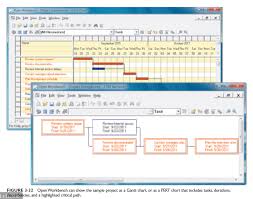 System Analysis And Design Project Management Examples