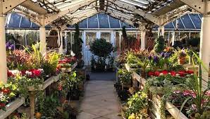 the best garden centres in london