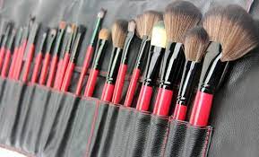 beaute basics 24 piece cosmetic brush