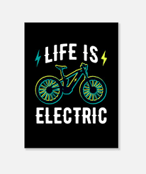 funny life is electric bicycle e bike