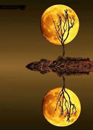 Image result for autum moon images