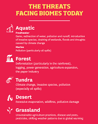 Human Interference And Its Effect On Biomes Kent State