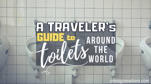 The Traveler S Guide To Toilets Around