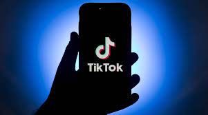 Pak high court bans TikTok temporarily ...