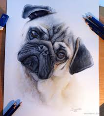 Using simple techniques with pencil. 15 Realistic Dog Drawings And Artworks From Famous Artists