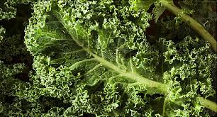 Kale Is A Surprise On 2019s Dirty Dozen List