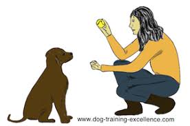 Dog Training Hand Signals A Picture Instructional Guide