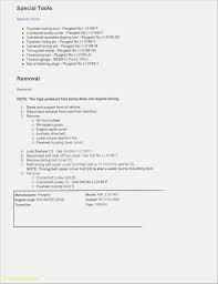 Sample Resume For College Student With No Job Experience First