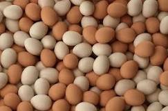 Yumurtanın sekse faydası var mı?