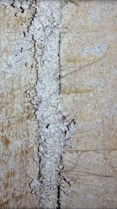 Help Asbestos Or Horse Hair In Walls