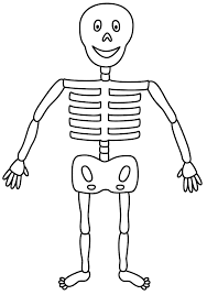 Gift these halloween skeleton coloring pages to your toddlers, preschool and kindergarten kids and children to color these blank printable and enjoy their holidays in such. Printable Skeleton Coloring Pages Coloring Home