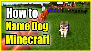 how to name your dog in minecraft use