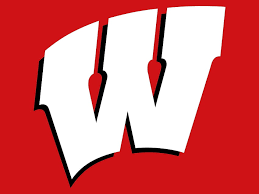wisconsin badger group background