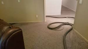 carpet cleaning company sunnyside