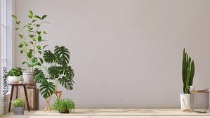 Air Purify Indoor Tropical House Plants