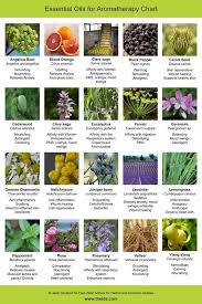Essential Oil Aromatherapy Chart Herbs Oils Pinterest