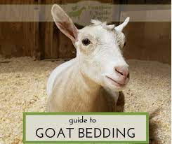 goat bedding lone feather farm