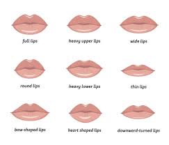 best lip shapes for your face
