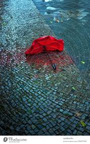 umbrella in the rain a royalty free