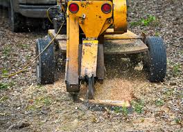 Commercial stump removal can cost as much as $800 for a large stump or one in a tricky location. Stump Grinding Columbus Oh Free Instant Quote