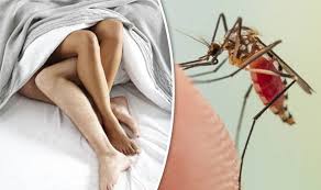 Image result for ZIka Virus Transmitted through sex