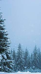 Snowfall, winter, pine trees, nature ...
