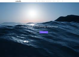 21 free wordpress travel themes for