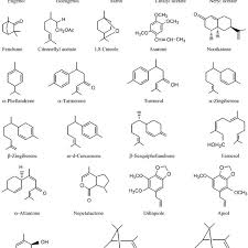 Chemical Structures Of Essential Oil Constituents Download