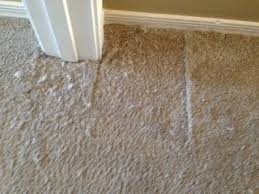 pet damage phoenix carpet repair