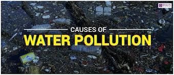 Image result for cause of water pollution