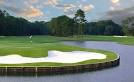 On The Tee: Lowcountry Edition-Jekyll-Island-Pine-Lakes