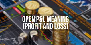 open p l meaning profit and loss