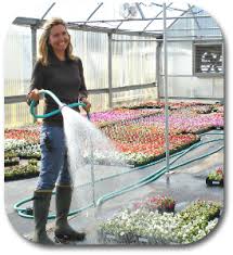 locally grown plants ashland greenhouses