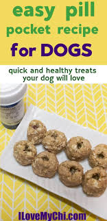 make your own pill pockets for dogs i