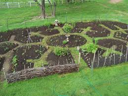 Permaculture Garden Progress And