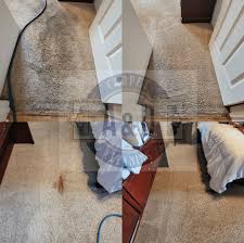 remove red stains from out of carpets