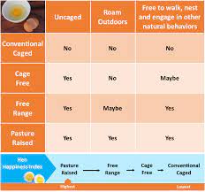 ing egg carton labels what they